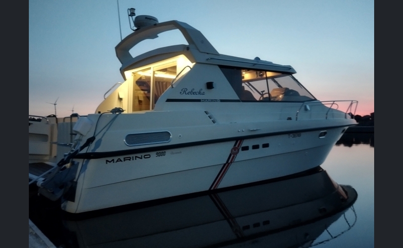 Marino Barracuda-kuva-1